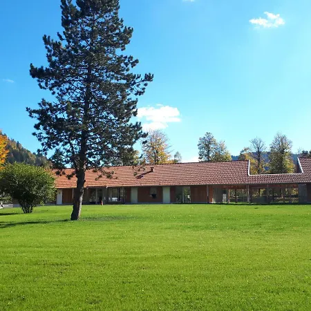 Camping Le Domaine De Longemer *